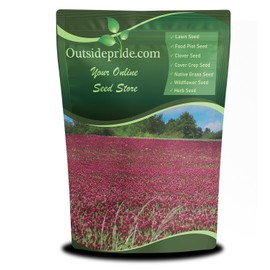 Outsidepride Crimson Clover Seeds - 2 lbs. Annual, Nitrocoated, & Inoculated Ground Cover Seeds, Ideal Clover Seed for Lawn, Cover Crop, Pasture, Hay, Green Manure & Wildlife Forage