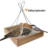 Cedar Platform Bird Feeder - Made in USA