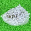 Nvanvmm 1000Pcs/Lot 60mm Bare Fiber Optic Protection Splice Sleeves Heat