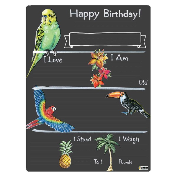 Cohas Birthday Milestone Board with Tropical Birds of Rio Theme