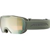 ALPINA PHEOS S Q Mirrored, Contrast Enhancing & Polarised Ski