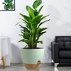 UOUZ 12 inch Large Self Watering Pots, Plastic Planters with