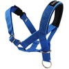 Dog Head Collar Halter Blue 5 Sizes (S: 6.5"-8.25" Snout)