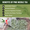 Organic Pine Needle Tea Bags - 100% Pure Natural Dried