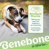 Benebone Zaggler Rolling Dog Chew Toy for Aggressive Chewers, Real