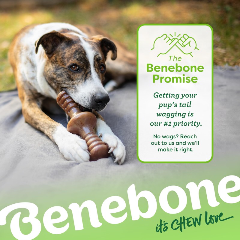 Benebone Zaggler Rolling Dog Chew Toy for Aggressive Chewers, Real