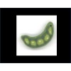 Just Another Button Company - Peas in a Pod