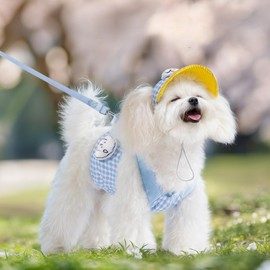 Layheld Cat Puppy Costume Leash Harness Baseball Cap 3PCs Set Cute Pet Accessories Multiple Sizes for Cat Small Dog (Blue Leash+Harness+Cap 3pcs,Small)