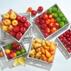 Decorative Pears Fruit Food Dummy Yellow Red 12 cm Set
