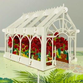 Seyal Birch Poinsettia 3D Pop Up Birthday Cards Greeting Cards Laser Cut Greenhouse Flower Room for Mom Kids Friends Colleagues Lovers & All Occasions