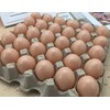 20 PCS Plastic Fake Eggs for DIY Easter Eggs, Painting