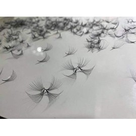 LASH BY HOLLY 14D PREMADE (HAND MADE) FAN LASHES (500 FANS/TRAY) FOR EYELASH EXTENSION, C CURL, D CURL AND M CURL, 0.05 THICKNESS, LENGTH FROM 10MM-17MM (D11mm14D)