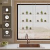 Sturdy Water-Ripple Window Plant Shelves, Clear Acrylic Window Plant Hanger,