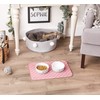 Bone Dry Machine Washable, Ultra Absorbent Pet Mat, 12x18, Rose