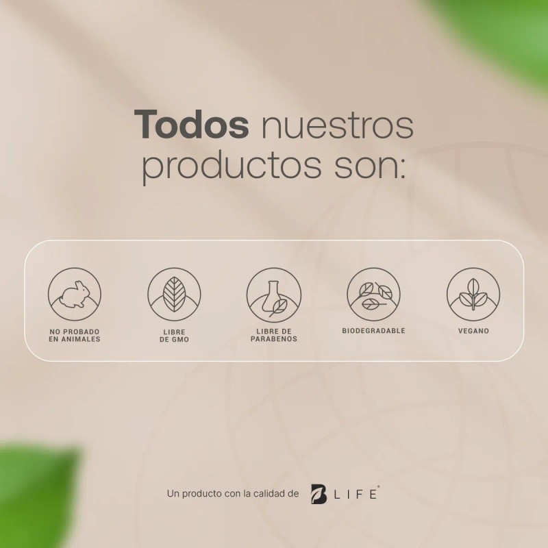 Kit Crema Dia Y Noche Para Rostro. B Life