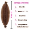 24 Inch Bouncy Afro Twist Hair 3 Pieces Pre-Separated Kinky