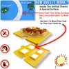 AntPad | Ant Proof for Food Dish | Ant Proof