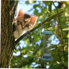1pc Outdoor Bird Feeder Metal Bird Feeder Rainproof Bird Feeder