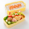 Skater PFLW4AG Ag+ Silver Ion, Antibacterial, Fluffy, Dome-Shaped Lid, 2-Tier