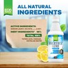 Eco Defense Fruit Fly Killer – Natural Fruit Fly Trap