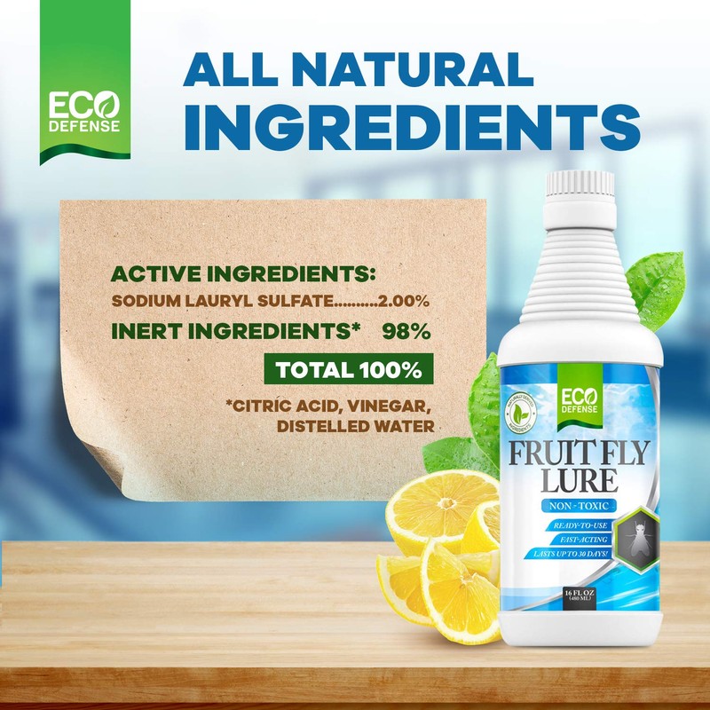 Eco Defense Fruit Fly Killer – Natural Fruit Fly Trap