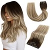 Vivien Real Hair Clip-In Extensions Balayage Clip-In Hair Extensions Real