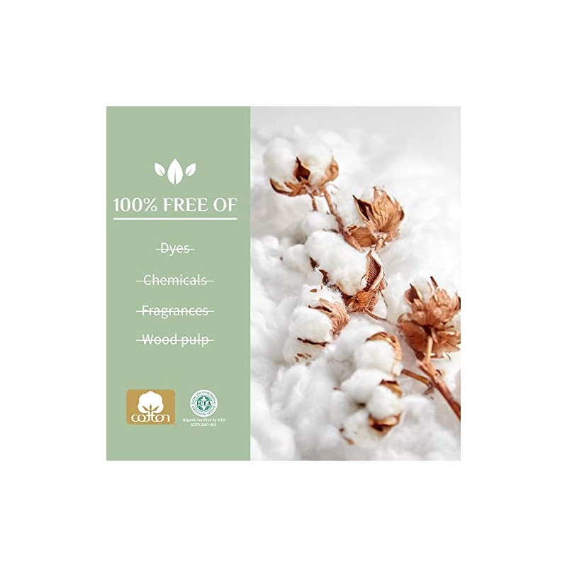 Organyc 100% Certified Organic Cotton Panty Liner, Maxi, 20 Count