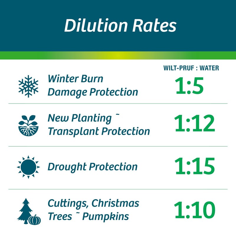 Wilt-Pruf® Concentrate | Protect Against Winter Damage, Drought, and Stress