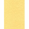 Decadry - Parchment Gold Paper 95gsm Pack of 100