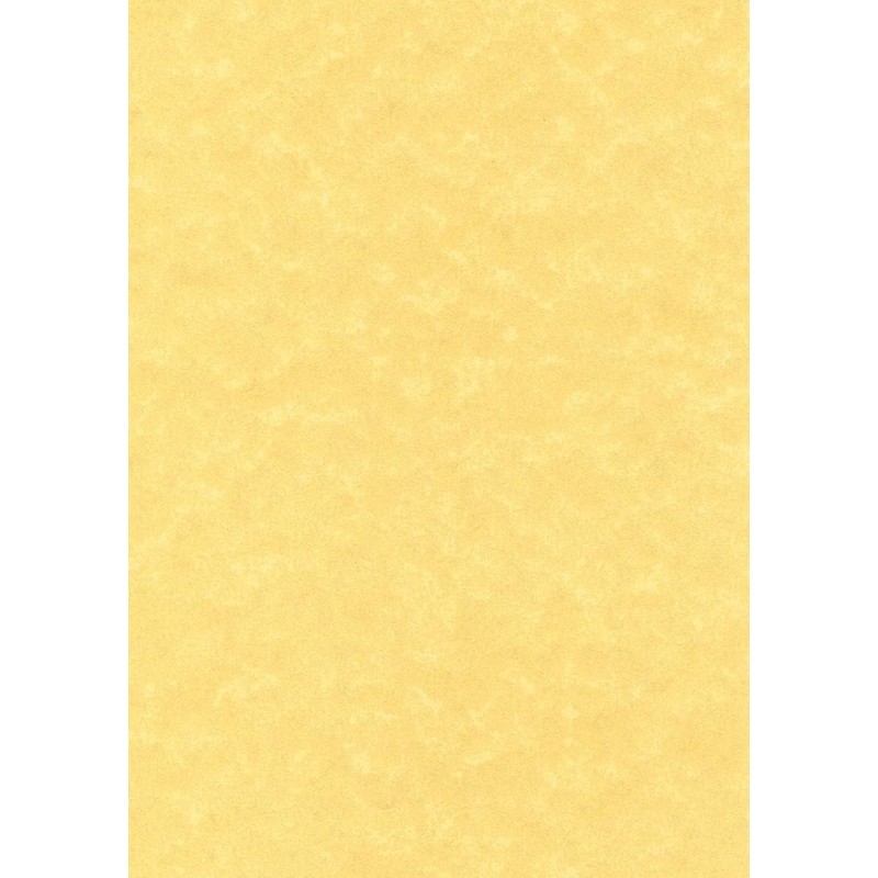 Decadry - Parchment Gold Paper 95gsm Pack of 100