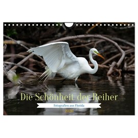 The Beauty of Herons (Wall Calendar 2026 DIN A4 Landscape), CALVENDO Monthly Calendar: Heron in Florida (CALVENDO Animals)