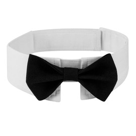 XUNQUCOM Pet Bow Tie Collar for Cats & Dogs (Black-S)