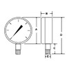 PIC Gauges 101D-254F Bottom Mount Dry Pressure Gauge w/ Black