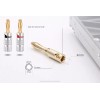 Nakamichi 2 Conectores Banana Plug Audio Bocinas Nakamichi Oro 24k