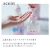 +tmr Plus Tomorrow: Shampoo Refill + Free [Moist ] Protein