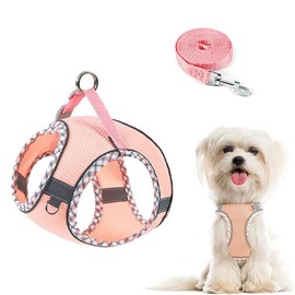 YQkangzhu Dog Harness and Leash Set, No Pull, Adjustable Step in Puppy Harness and Leash Set for Dogs Easy to Put on, Reflective Breathable Mesh Pet Harnesses Soft Padded Vest for Small Medium Cat(XS)