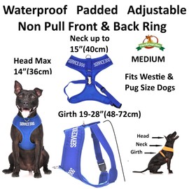 SERVICE DOG (Do Not Disturb/Dog Is Working) Blue Colour Coded Non-Pull Front and Back D Ring Padded and Waterproof Vest Dog Harness S M and 1.2m or 1.8m Neoprene Padded Lead Set PREVENTS Accidents By Warning Others Of Your Dog In Advance (M & 1.2m)