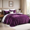 AJOCCI Velvet Quilt, Purple King Size Comforter Set, Luxury Bedding,Soft