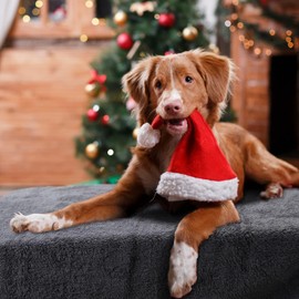 Nobleza Dog Blanket Soft Fleece Blanket Washable Deck for Pets Dogs Cats Puppies Soft Warm Mat Grey 200 x 160 cm