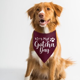 It's My Gotcha Day Dog Bandana Happy Gotcha Day Dog Puppy Bandana Triangle Bibs Pet Scarf Photo Prop Accessories for Pet Dog Lovers Owner Gift Navy Red