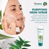 Himalaya Purifying Neem Scrub Helps Fights Pimples, Prevents Marks, Controls