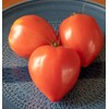 FUN AND GROW SEEDS: Seeds Red Bull's Heart Tomato Indeterminate