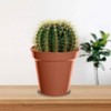 Whitefurze G04013 10cm Garden Pot - Terracotta (Set of 7)