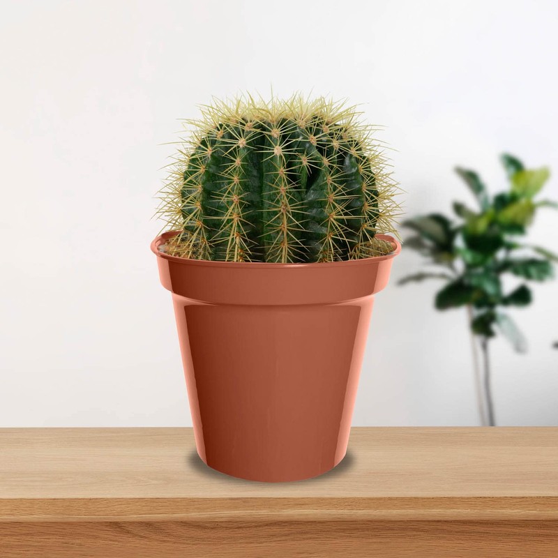 Whitefurze G04013 10cm Garden Pot - Terracotta (Set of 7)