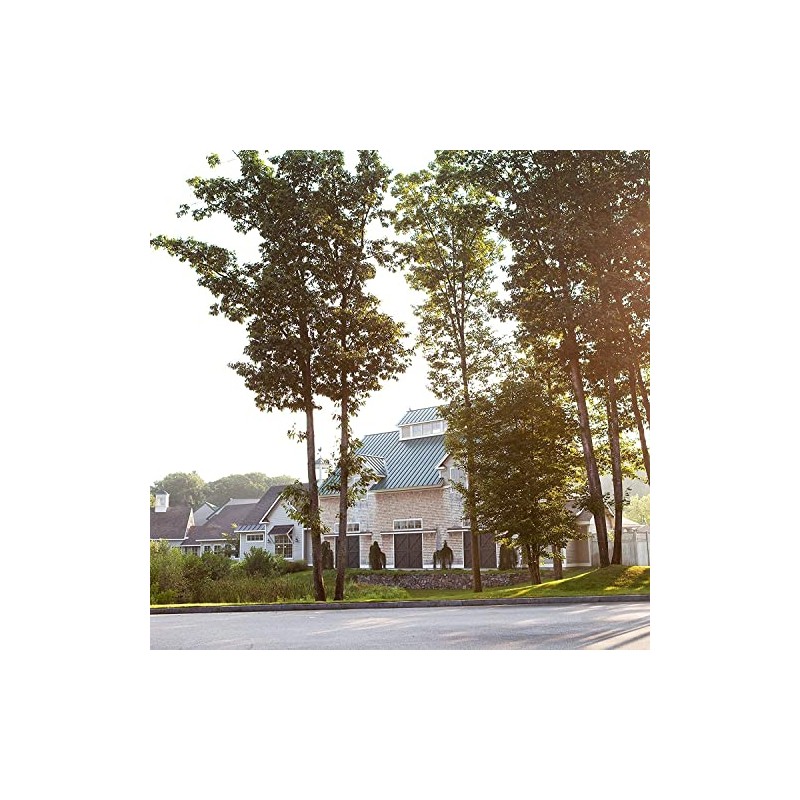 Stonewall Kitchen Coastal Morning Ground Coffee, 12 oz