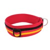 BUDDYPACK Exclusive Dog Collar Extra Wide and Soft with Neoprene