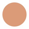 Shiseido S101 Spots Cover Foundation (Base Color) Base Color (Overall)