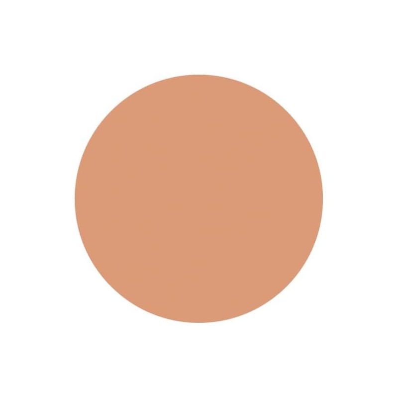 Shiseido S101 Spots Cover Foundation (Base Color) Base Color (Overall)