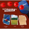 Dink Buddy Fairfield 26 PB Ball (PE, 26-Hole, Red, Qty