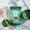 Pantenger Té Verde Matcha Orgánico en Polvo 99 G Organic